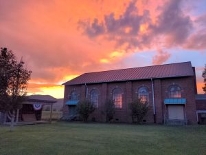 Primal Diet Conference