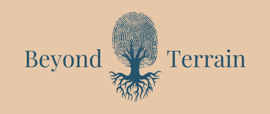 Beyond Terrain Theory