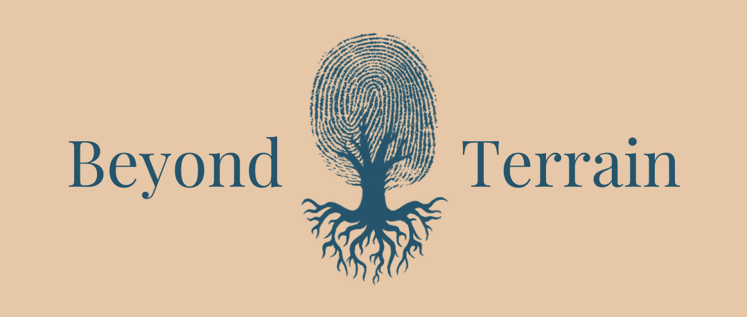 Beyond Terrain Theory